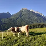 Апартаменты Klettnerlehen Рамзау