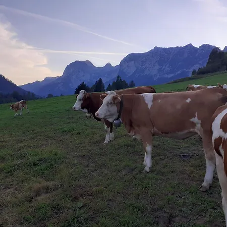 Klettnerlehen Apartamento Ramsau bei Berchtesgaden